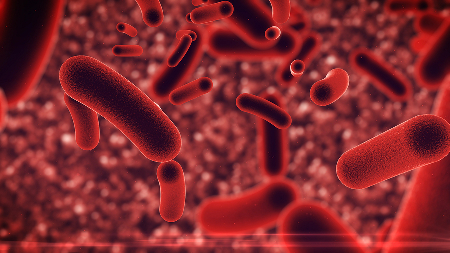 The Many Benefits of Probiotics
