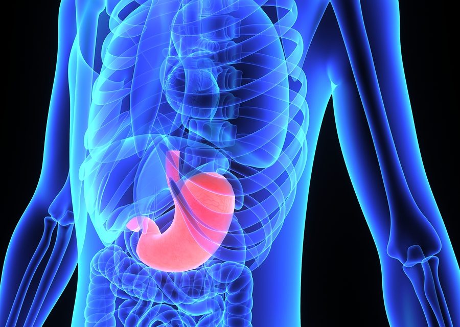Gastric Acid and Nutrient Absorption