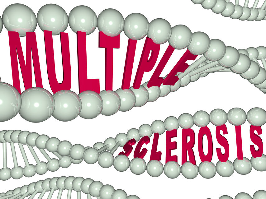 Nutritional Support for Multiple Sclerosis: Vitamin D, Antioxidants, and B 12