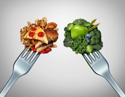 What Constitutes a Good Diet?