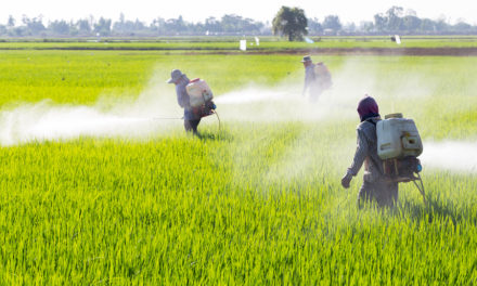 Pesticides and Diabetes