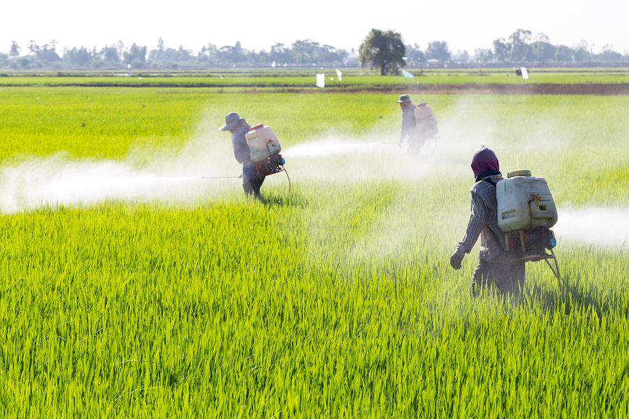 Pesticides and Diabetes