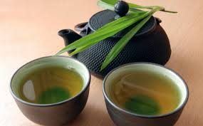 EGCG (Green Tea Catechin) and Brain Health: Amyloid Plaques & Alzheimer’s Research