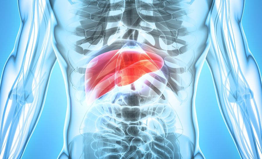 Special Report for Those who Scored High on the Liver/Gallbladder Portion of the Health Questionnaire
