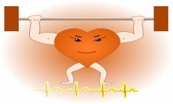 Testosterone and the Heart