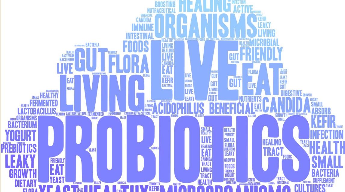 Probiotics and Irritable Bowel Syndrome