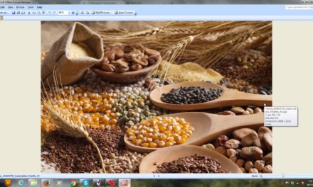 Whole Grains and Heart Failure