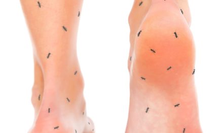 Vitamin E and Neuropathy