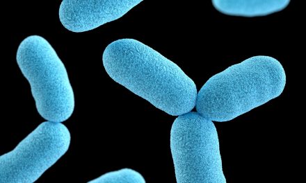 Gut, SIBO, and Rheumatoid Arthritis