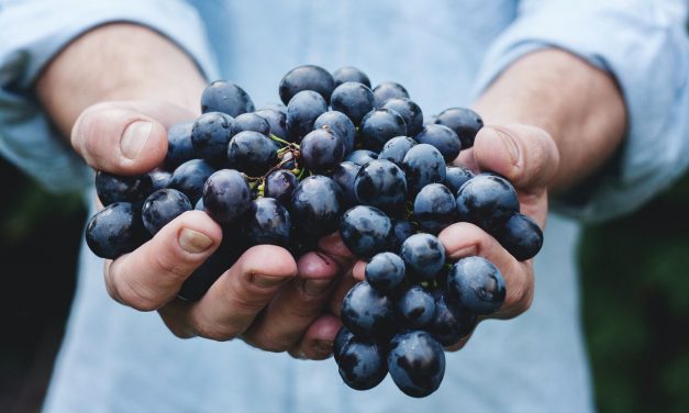 Grape Compounds and Colon Health