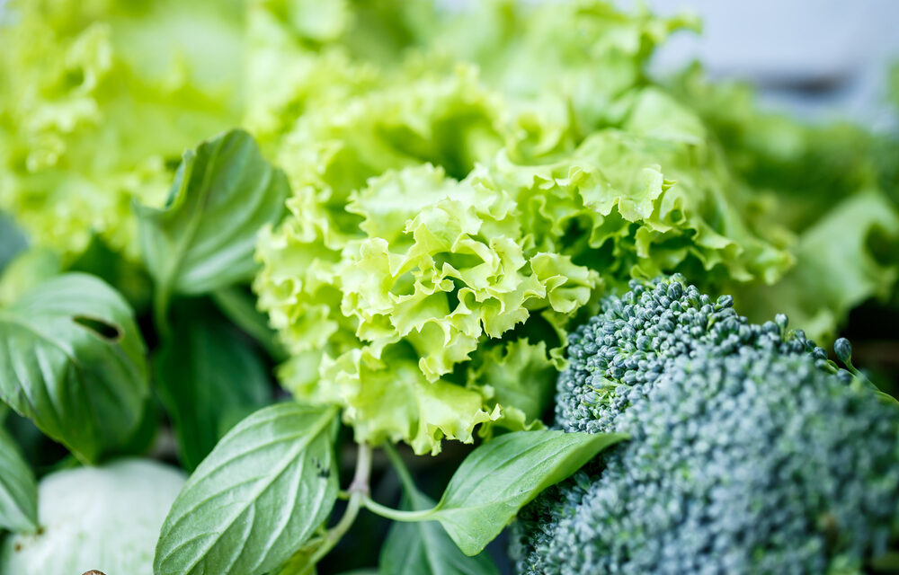 Folate, Homocysteine, and Brain Health: What You Should Know