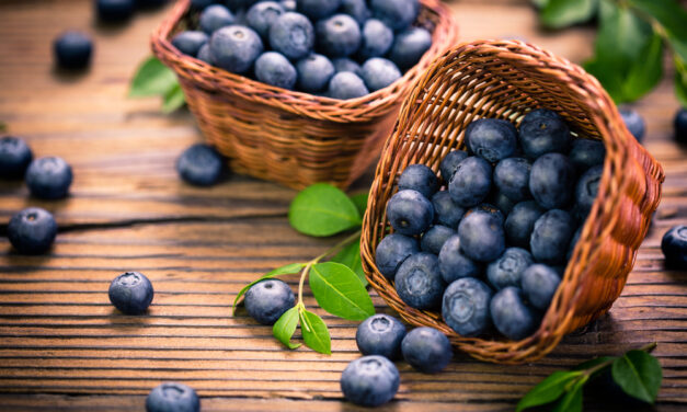 Paleo Blueberry Muffins