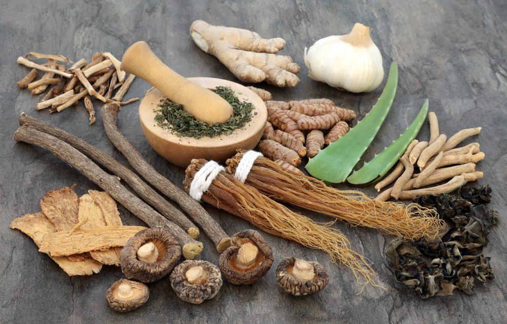 Natural Stress Support