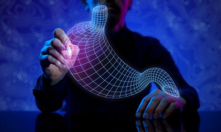The Natural Healthcare Perspective: “North to South” Digestion