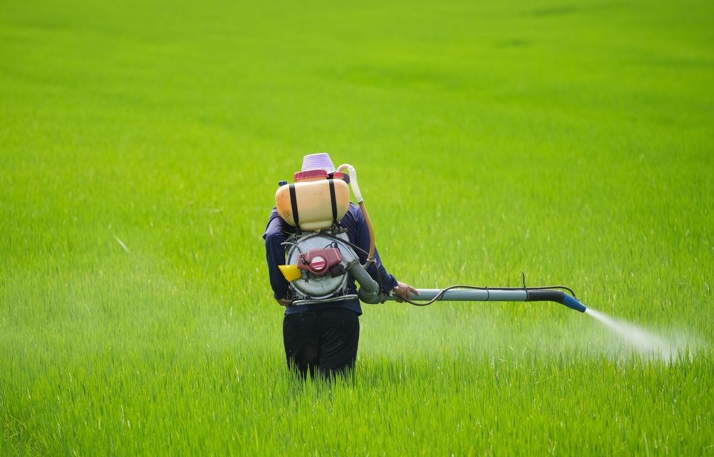 GMOs, Glyphosate, and Health: Revisiting the Controversy