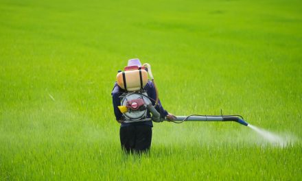 GMOs, Glyphosate, and Health: Revisiting the Controversy